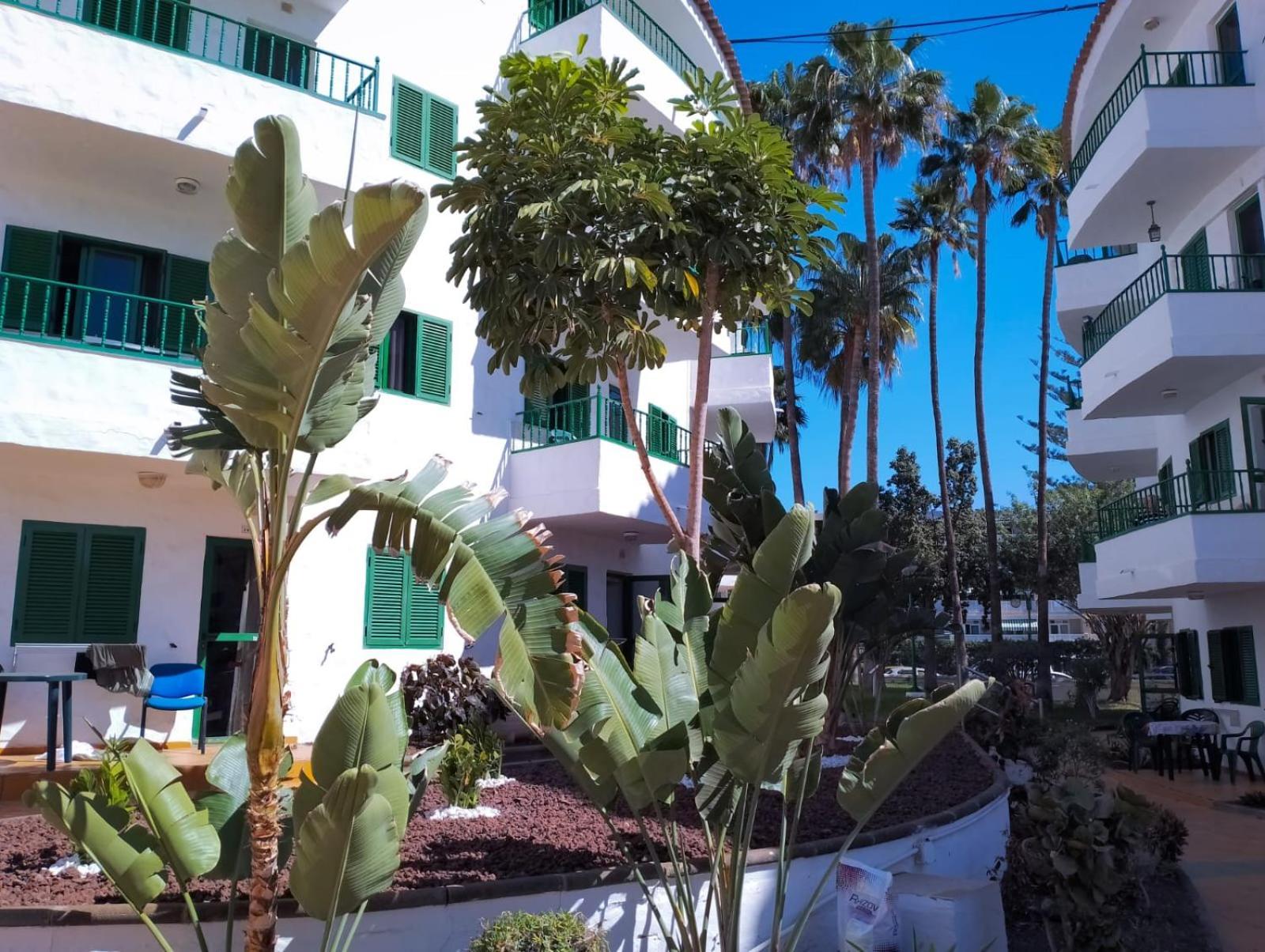 Canarian Havaii En Faluas Playa del Ingles  Ngoại thất bức ảnh